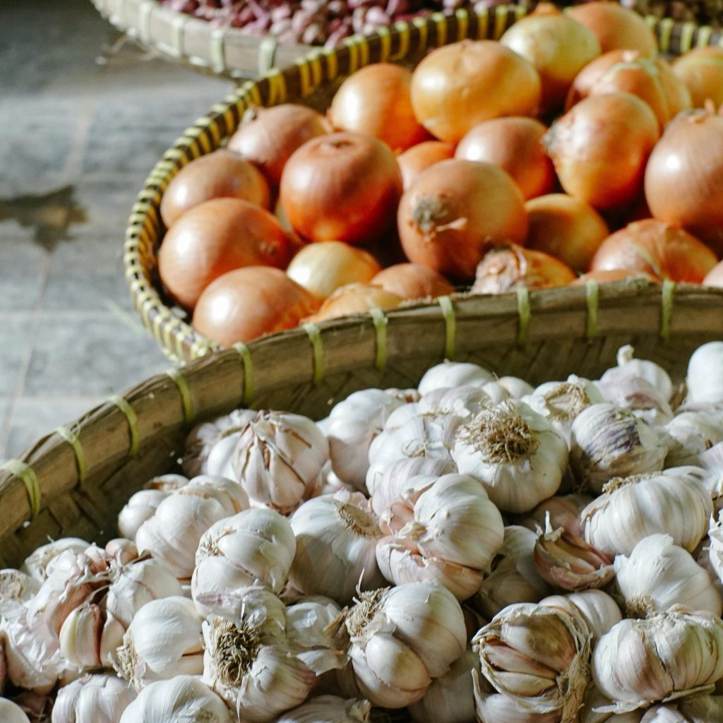 Onions2_1