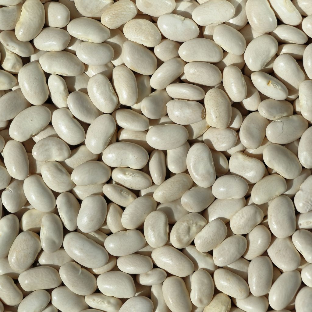 white_bean